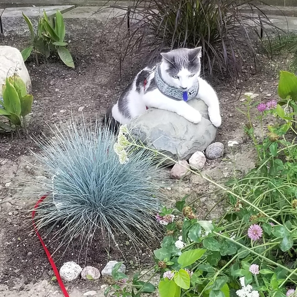 Meet your Posher, Erika - Picture 4 of 6